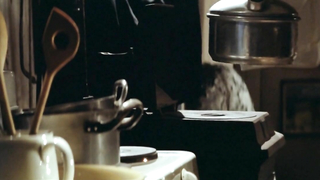 Nude video with Veronica Ferres scene from Schtonk (1992)