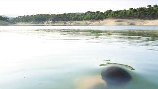 Emma Suarez nue, scène de sexe de La ardilla roja (1993)
