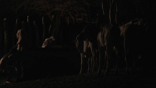 Maeve Jinkings desnuda, escena de sexo de Boi neon (2015)