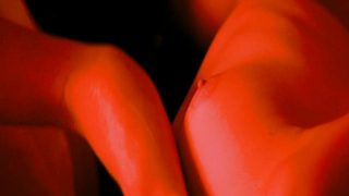 Nude video with Clotilde Courau scene from Promenonsscene fromnous dans les bois (2000)