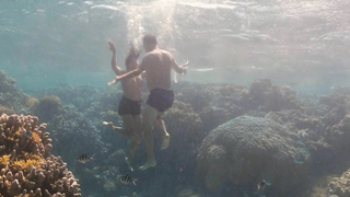 Nude video with Sarita Choudhury scene from A Hologram for the King (2016)