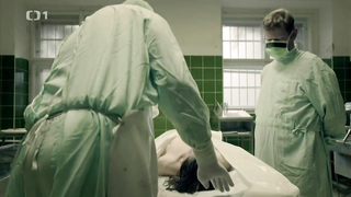 Misto zlocinu Plzen s01e01 (2016)'dan Marie Svestkova erotik sahnesi