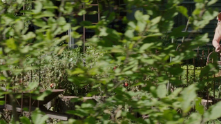 Escena erótica de Catherine Carlen y Deborah Ann Woll de The Automatic Hate (2015)