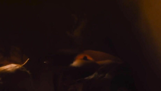 Nude video with Veerle Baetens scene from The Broken Circle Breakdown (2012)