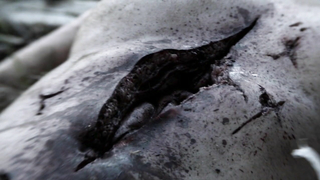 Lili Simmons nue, scène érotique de Banshee s04e01 (2016)