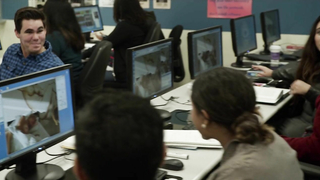 Nude video with Sasha Alexander , scene from Shameless s06e05 (2016)