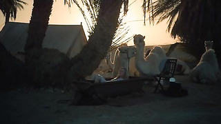 Nicole Kidman Queen Of The Desert (2016) filminden çıplak, erotik sahne