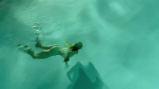 Nude video with Isabel Lucas and Teresa Palmer , scene from Knight of Cups (2015)