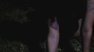 Nude video with Lisa Friedrich nude , scene from Meet Me There (2014)