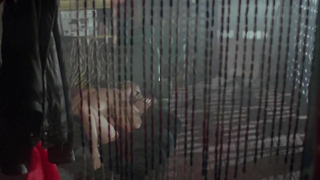 Vickie Benson desnuda, escena de sexo de The Wraith (1986)