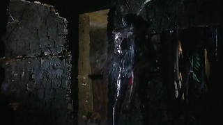 Аня Сартор обнаженная, сцена секса из фильма Дикая орхидея (1989)