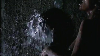 Аня Сартор обнаженная, сцена секса из фильма Дикая орхидея (1989)