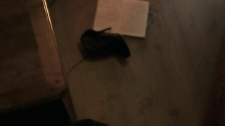 Nude video with Claudia Gerini nude , scene from Il Traduttore (2016)