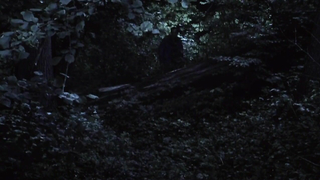 Jeanette Hain desnuda, escena de Dreileben s01e02 (2011)