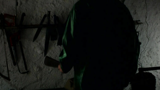 Delphine Tempels çıplak, Canibal'den (2013) sahne