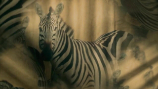 Antonia Morais çıplak, Mariana Lima çıplak, Priscila Reis çıplak, Lucia McCartney s01e07'den (2016) seks sahnesi