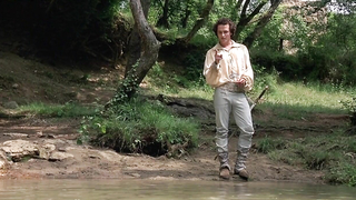 Кейт Грумбридж обнаженная, Сильвия Коллока обнаженная, Кьяра Дженсини обнаженная, Элизабетта Каналис обнаженная, эротическая сцена из Территория Виргинских островов (2007)