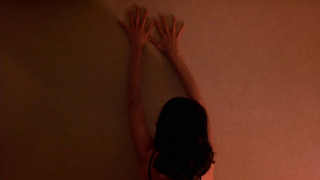 Линда Фиорентино обнаженная, сцена секса из фильма «Джейд» (1995)